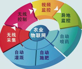 農(nóng)村物聯(lián)網(wǎng)綜合信息服務項目網(wǎng)絡技術服務收尾工作全面展開